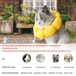 Kudes cat small dog recovery collar cute sunflower neck cone after surgery adjustable pet e collar wound healing protective cone surgery recovery elizabethan collars for small pets   cucciolini doodles