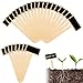 Produktbild 40 Pcs Pflanzschilder Holz Pflanzen Tags Kräuterschilder Umweltfreundliche Gartenschilder Beschriften Pflanzschilder Schwarz Pflanzenstecker T-Form Gartenmarkierungen für Gärten Hause