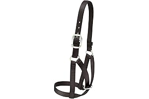 Weaver Leather Barn Cow Halter: Reliable Head Control for Cattle Management
