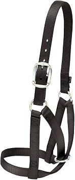 Weaver Livestock Barn Cow Buckle Cattle Halter, Adjustable, Modern Style Cow Calf Halter, Livestock Handling Equipment for Showing, Black