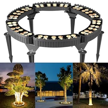 Dollar Tree Outdoor Lights That Will Transform Your Space 1 dollar tree outdoor lights