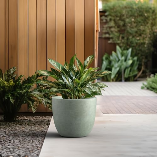 Image of Kante Accent Round Bowl Mint Green Concrete Planter 14 inch Dia, Outdoor