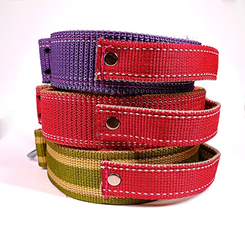 Large Dog Collar With Unbreakable Swivel Buckle With Handle | Heavy Duty Shepherd Dog Collar With Iron Buckle| Collar Perro Grande(Green, Large) #TOP1