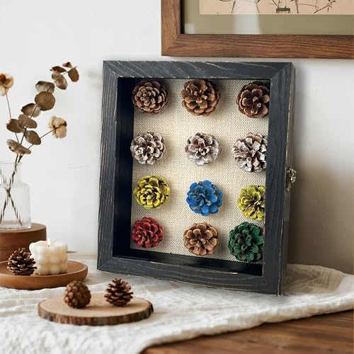 Image of Black Shadow Box Frame 8x10 Shadow Boxes 2.6 inch Interior Depth Memorial Shadow Box Display Case with Linen Back for Handicrafts,Flowers, Picture Frames, Medals, Coins, Pins Collection and More