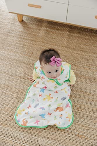 Image of Copper Pearl Baby Sleep Sack, Sesame Friends - Wearable Blanket for 0-6 Months, Sleeveless Sleep Sack for Baby Boy or Girl