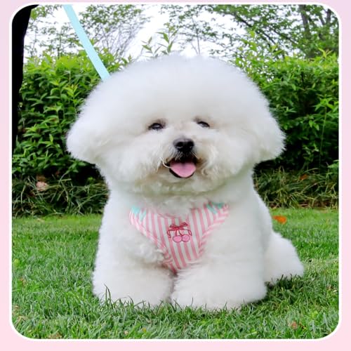 GOCJADJXR Conjunto de arnés y correa estilo chaleco ajustable para pasear perros 2