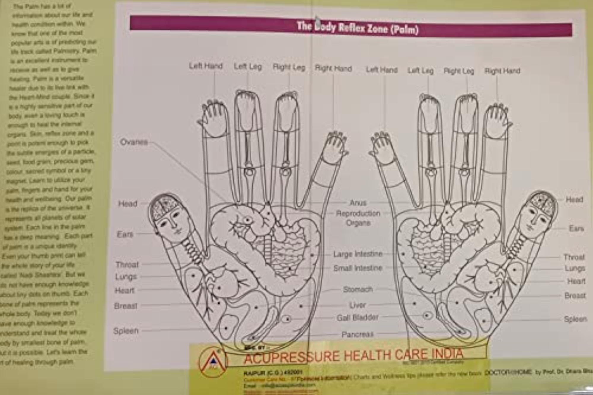 ACi Dr Roll Hand for Hand Reflexology, Instant Relief