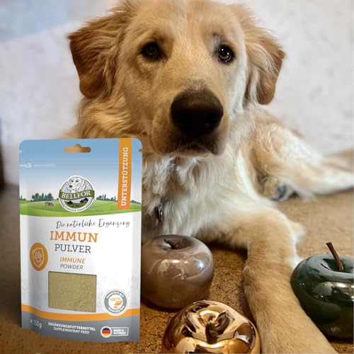 Bellfor Immunpulver für Hunde 250 g – Ergänzungsfuttermittel mit Propolis, Brennnessel, Hagebutte und Insektenprotein zur Unterstützung des Immunsystems bei Hunden