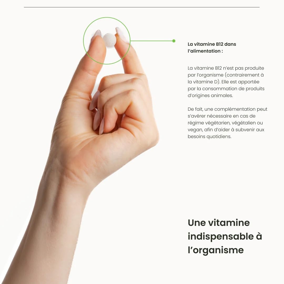 Natésis Vitamine B12 Bio & Vegan – Issue du Shiitaké – Formes naturelles Méthyl + Adénosyl + Hydroxy – 10 µg/jour – Certifiée Ecocert & V-Label – 90 Comprimés