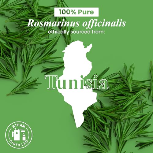 Handcraft Blends Organic Rosemary Essential Oil – 1 Fl Oz – 100% Pure and Natural – Premium Grade Essential Oil for Diffuser and Aromatherapy - Image 8