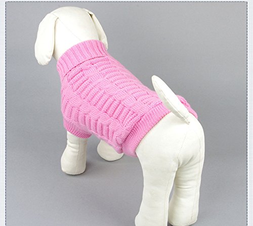 Kismaple Animale domestico Cucciolo Gatto Cappello...