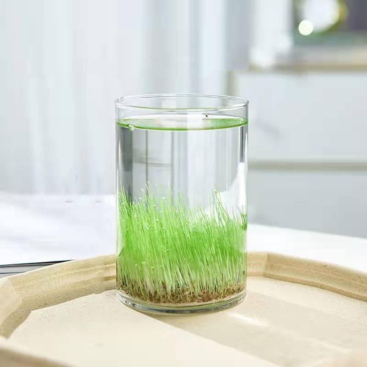 ｇｕｌａｙｉガラス 花瓶 フラワーベース金魚鉢 花器 おしゃれ ガラス 円柱 ガラスベース ガラスボトル 水槽 水栽培 観葉植物 花器インテリア タイプ2 シリンダー 高さ 15cm メーカー公式ショップ