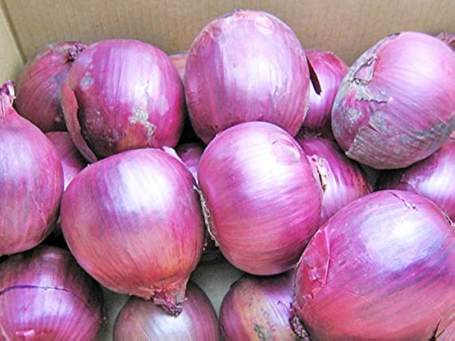 信州産　紅玉ねぎ　お箱込み１０キロ 信州産 紅玉ねぎ お箱込み10キロ 信州産 紅玉ねぎ お箱込み