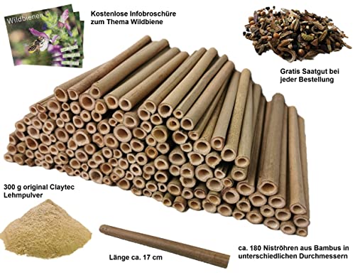 aktiongruen Mega Pack Bamboebuisjes insectenhotel knutselspullen 200 nestbuizen 17 cm met 300 g leempoeder - Image 3