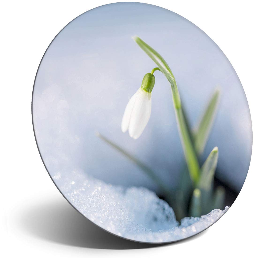 Destination Vinyl Ltd Magnet For Refrigerator, Fridge - Pretty Snowdrop Flower Fun For Office, Cabinet And Whiteboard, Magnetic Stickers, 2063