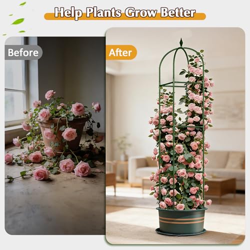 Image of Garden Trellis for Climbing Plants, Tomato Cage, Rose, Flowers, Grape, Pea, Cucumber Trellis, Rustproof Plastic Coated Metal Plant Support for Potted Plants Indoor Outdoor - 1PC Plant Trellis