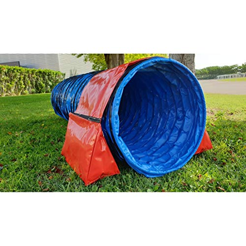 animo concept Agility Dog Agility Obstacle, Agility Course for Dogs, Animal Training, Dog Training, Puppy Training