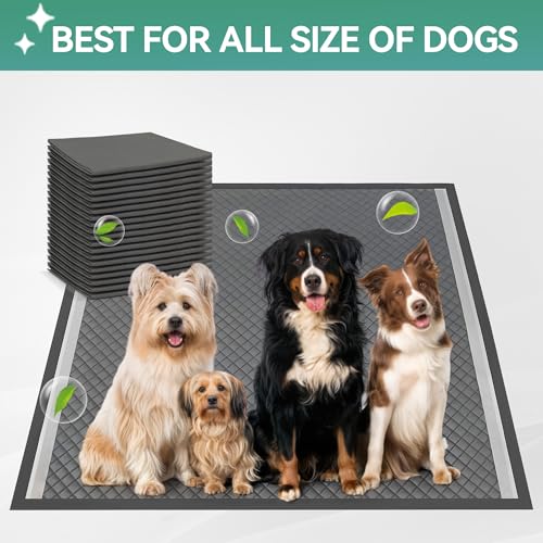 ALL FOR PAWS Pee Pad Holder, XL Dog Litter Box, Puppy Pads Holder, Puppy Potty Tray for Small/Medium/Large Dog Potty Training, 25" x 25" - Image 6