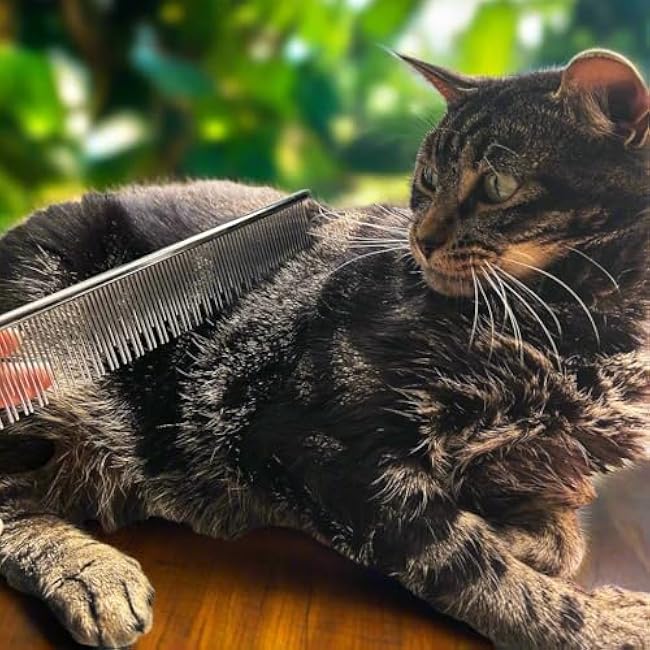 Warren London Carding Cat Comb | 7.5 inches made with Copper | Rounded Tips Prevent Irritation | Dual Tooth Design for Short & Long Hair removes Mats and Tangles-fQkHIkul