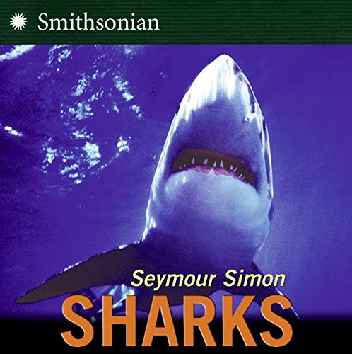 Sharks Sharks