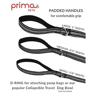 Reflective 4 Feet Nylon Dog Leash with Padded Double Handles, 2 Heavy Duty Neoprene Handles for Control Safety Training Durable Traffic Handle, for Medium to Large Dog (Large – 1″ Width, Black)