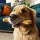 Croci King Bone Hundeknochen Lose Hundesnack Premium Kauknochen aus natürlicher Rinderhaut Zahnreinigung Dental Stick 7,5 cm - 25 g
