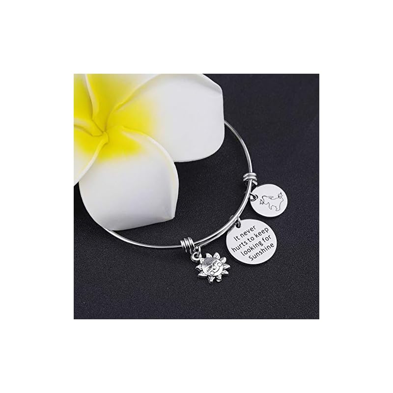 KUIYAI It Never Hurts to Keep Looking for Sunshine Bracelet Donkey Quote Bracelet Inspiration Gift (Bracelet) - Image 5