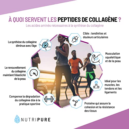 Peptides de Collagène Peptan | Complément Alimentaire Sport | Collagène, Acides Aminés, Protéine | Produit Breveté | Sans OGM ni Additifs | Sachet de 310g | 1 Mois | Made in France | Nutripure – Image 3