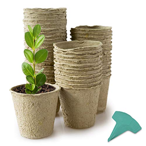 GROWNEER 4 Inch 60 Pcs Peat Pots Seed Starter