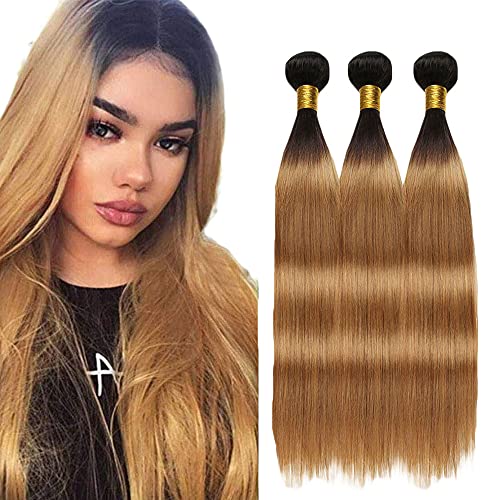 WunnSvm 1b/27 Ombre Bundles Honey Blonde Peruvian Straight Human Hair Bundles Ombre 1b/27 Two Tone Blonde Hair 3 Bundles(16 18 20)Inch 100% Unprocessed Virgin Human Hair Extentions 300g