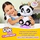 Little Live Pets My Baby Panda ChuChu | Interaktives Haustier mit über 50 Geräuschen & Reaktionen. Strampelt, geht aufs Töpfchen, lacht & mehr. Immer Wieder Spielen. Geschenk für Kinder