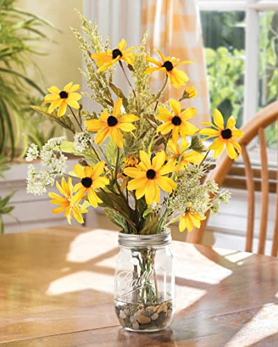 Black Eyed Susan Flower Seeds Perennial Garden Sunflower Sun Flower 100+ #TOP3
