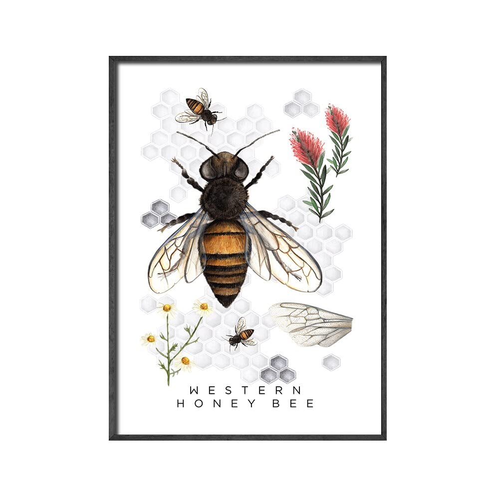 蜂 蜜蜂 熊蜂 丸蜂 昆虫 花 縁起物 原画 アート 絵画 画家 クレパス画