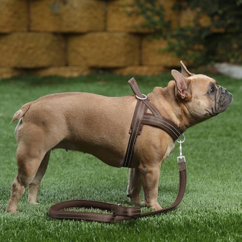 Image of Plutus Pet No Pull Dog Harness for Large Dogs, Breathable Mesh Padded