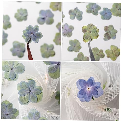 30 piezas flores secas prensadas multicolor para manualidades miniatura 5