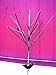Classic Bottletree BUSH~ FREE ship Bottle Tree Southern Wine- MINI CLASSIC