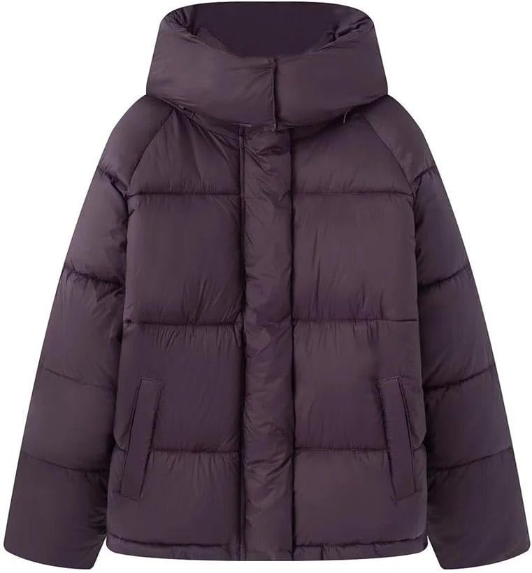 Women's Stand Collar Detachable Hood Parka Winter Casual Elegant Loose Short Warm Jacket