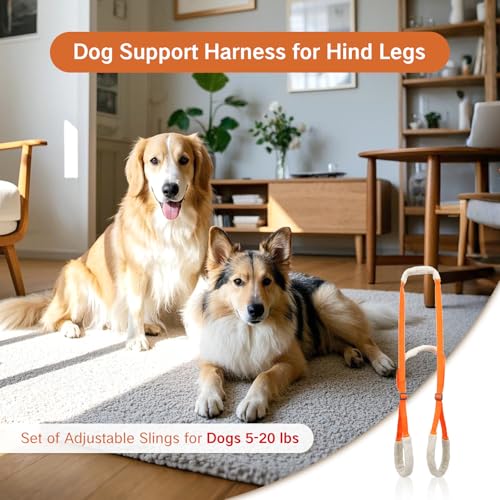 Image of Sling for Dogs Back Legs Rear Support Harness for Paralyzed or Handicapped Pets Assistance Lift Slings for Hind Leg Mobility Small Dog Handicap Supplies for Joint Injuries and Stability (Orange)