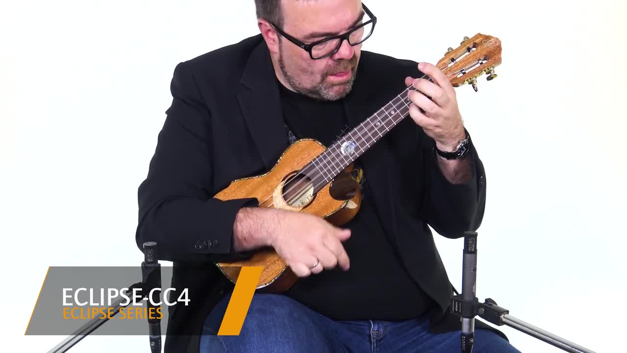 Amazon.co.jp: ORTEGA オルテガ ウクレレ CUSTOM BUILT Series オール