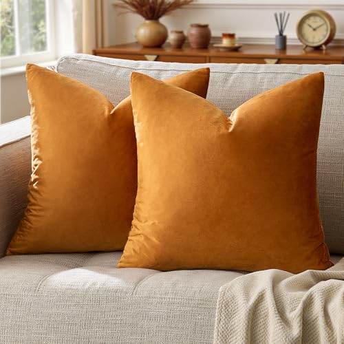 Image of GIGIZAZA Decorative Throw Pillow Covers for Sofa,Cinnamon Burnt Orange Velvet Bed 2 Pack Soft Cushion Cover (Cinnamon, 20 x 20- Set of 2)