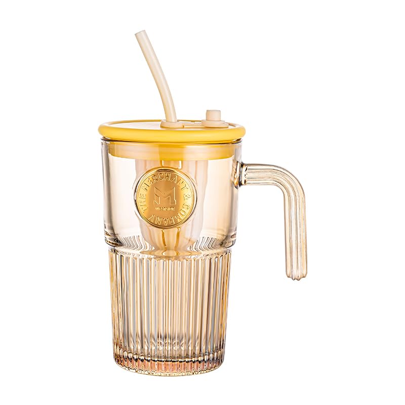 Avastro 500ml Glass Cup with Straw and Lid, Office Water Bottle, Home Juice Drink Milk Tea Coffee Cup with Handle, Pack of 2 2