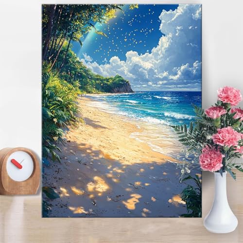 Pintar por Numeros Adultos Cielo Pintar por Numeros Playa DIY Painting by Numbers Kits para Niños Oadultos Principiantes con Pinceles y Acrílicas para Decoración Pared Regalo 60x80cm Sin Marco W1-150