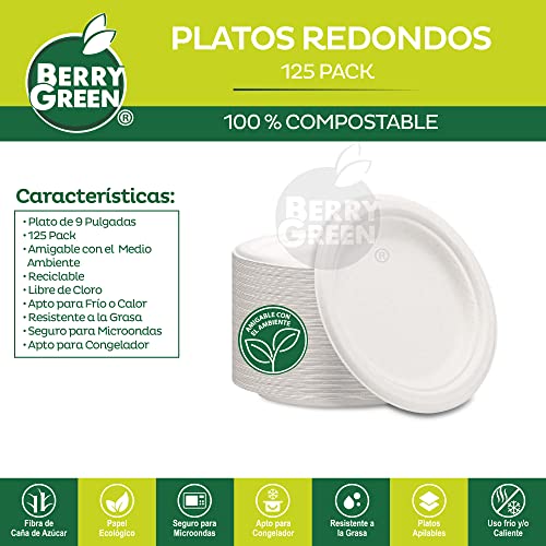 Platos Y Cubiertos, Kitchen plato desechable Marca Berry Hip (2)