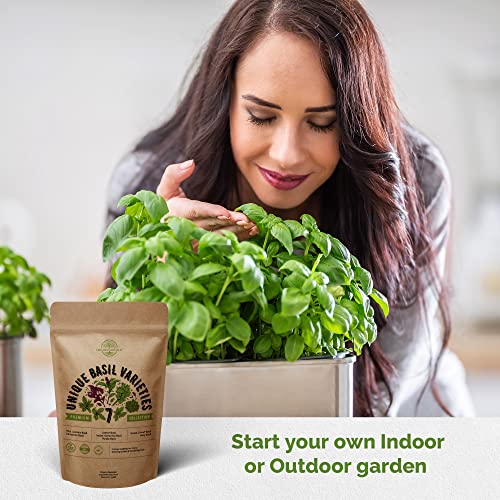 7 Basil Herb Seeds Variety Pack For Planting Indoors & Outdoors 1900+ Non-Gmo Heirloom Herbal Basil Garden Seeds Bulk: Holy Basil, Thai Basil, Lemon Basil, Italian, Genovese Basil, Purple Basil & More #TOP4