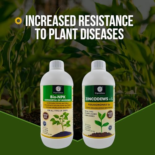 Image of OrganicDews Bio NPK consortia (5x10^8 CFU /ml) 1 Litre + Zinc Solublizing Bacteria (2x10^8 CFU /ml) 1 Litre COMBO Bio Inoculum Fertilizer for Plants - Soil Fertility, Plant Growth & Increases the Yield