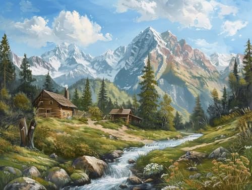 Diamond Painting Adulte Kit Complet pour Réduire le Stress Quotidien