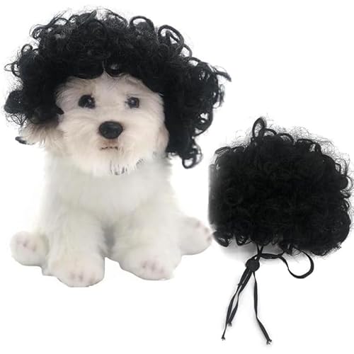 ZLBYXLU ybgpi   L nEB Jc  Lp EBbO ʔ L ʔ pi RXv p NX}XCu  p ʔ RX`[ ^ ^ ϐg o| U nEB[ NX}X (C)