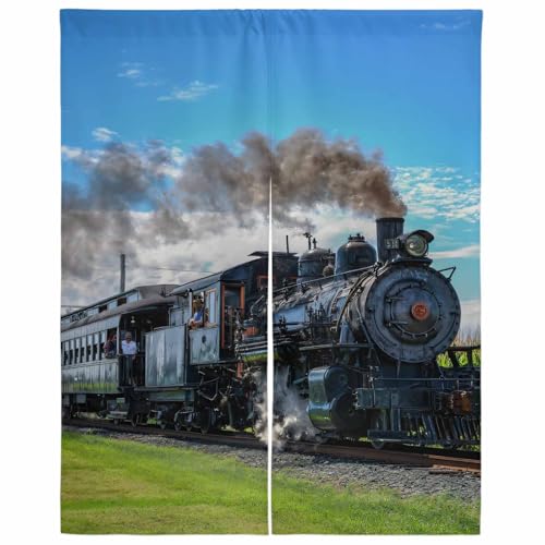 Lalirulero のれん 遮光 幅75x丈120cm おしゃれ 暖簾カーテン 間仕切り 仕切り 防寒 防音 目隠し 厚手 和風 出入り口 グッズ 寝室 玄関 キッチ リビング 春夏秋冬 風景 蒸気機関車 鉄道 木