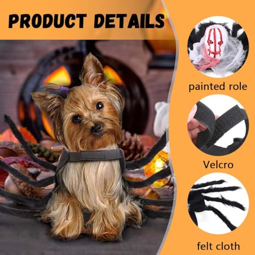 Halloween Kostüm für Katzen und kleine bis mittelgroße Hunde, Schwarz, Größe L, Filz, Einzigartiges Spinnen-Design Hundekostüm Spinne,Plüsch,mit formbaren Beinen, leicht und bequem