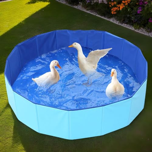 Piscina de cachorro dobrável, banheira de cachorro dobrável, Piscina de cães portáteis, Suprimentos